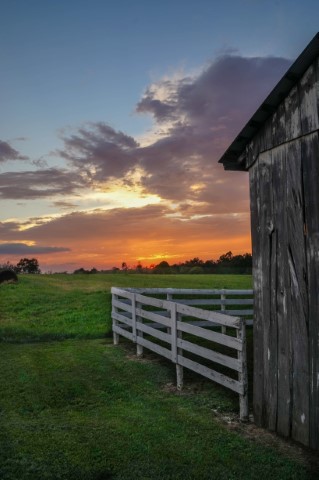 Image of Simply Kentucky by Tascha Sodan from Louisville